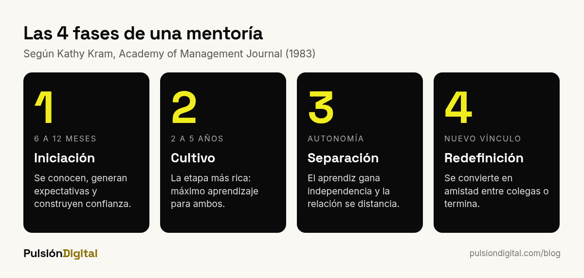 Las cuatro fases de una mentoría según Kathy Kram: iniciación, cultivo, separación y redefinición